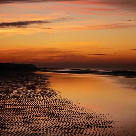 Olbia 101 On The With Sea View Koksijde